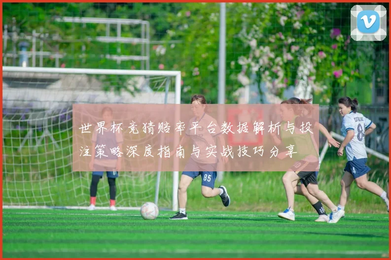 世界杯竞猜赔率平台数据解析与投注策略深度指南与实战技巧分享
