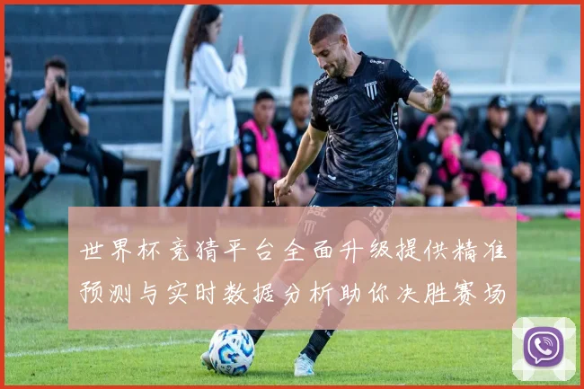 世界杯竞猜平台全面升级提供精准预测与实时数据分析助你决胜赛场